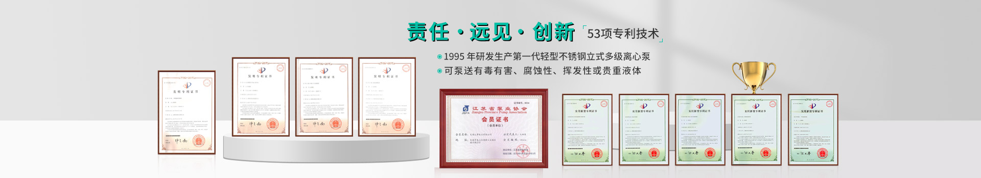 1995年研發(fā)生產(chǎn)第一代輕型不銹鋼立式多級離心泵